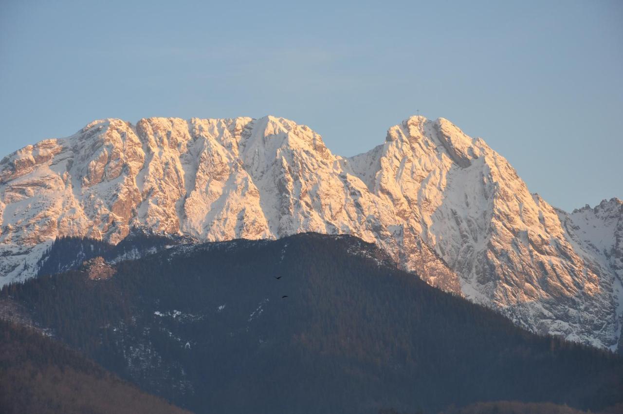 Willa Bystry, Pod Nosalem Zakopane Exterior foto